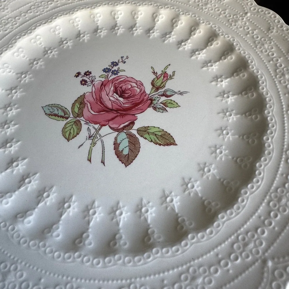 Spode absolutely beautiful